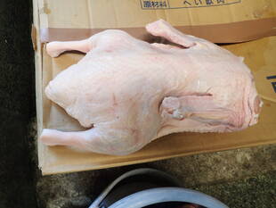 誕生日プレゼントのおはなし②