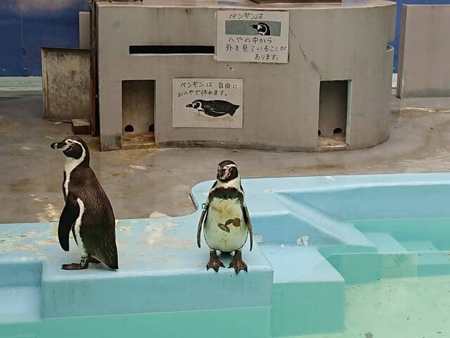 コーディネートは......の写真
