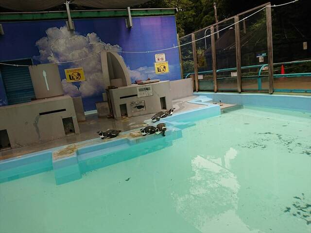 休憩ペンギン3.jpg