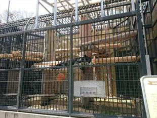 動物園での過ごし方