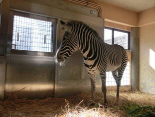 2日目のココロです