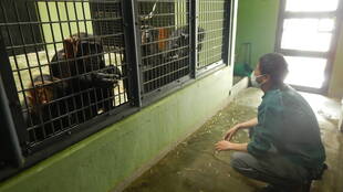 新入り!?現る。