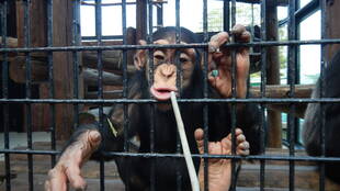 わんぱく盛りのコウタロウ