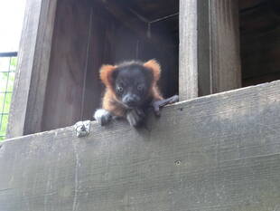 今年も赤ちゃん誕生！