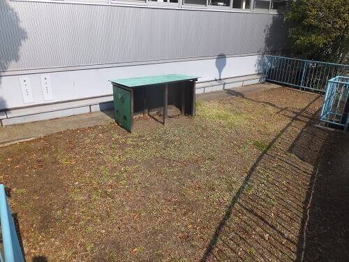 白日の写真