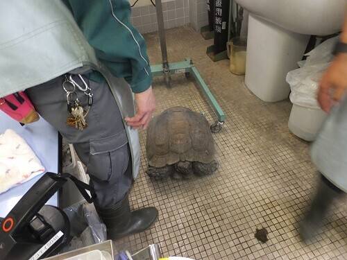 レントゲン後半戦の写真