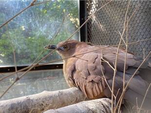 ミゾタロウ通信