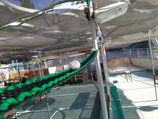 「新しい綱渡りで再開園!」~臨時閉園終了前のハツカネズミのお話~