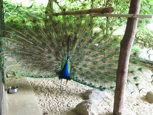 新しい生活（様式）　その②  ～新たな一歩編～