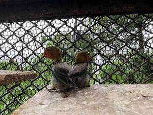 新人と新人(？)