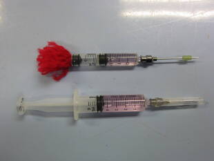 ブログ　DE　動物病院ガイドツアー　vol.5