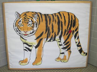 ブログ　DE　動物病院ガイドツアー　vol.6