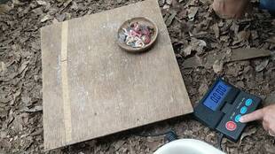 カグーの健康診断!!(体重測定)