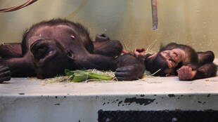 一日の終わりに