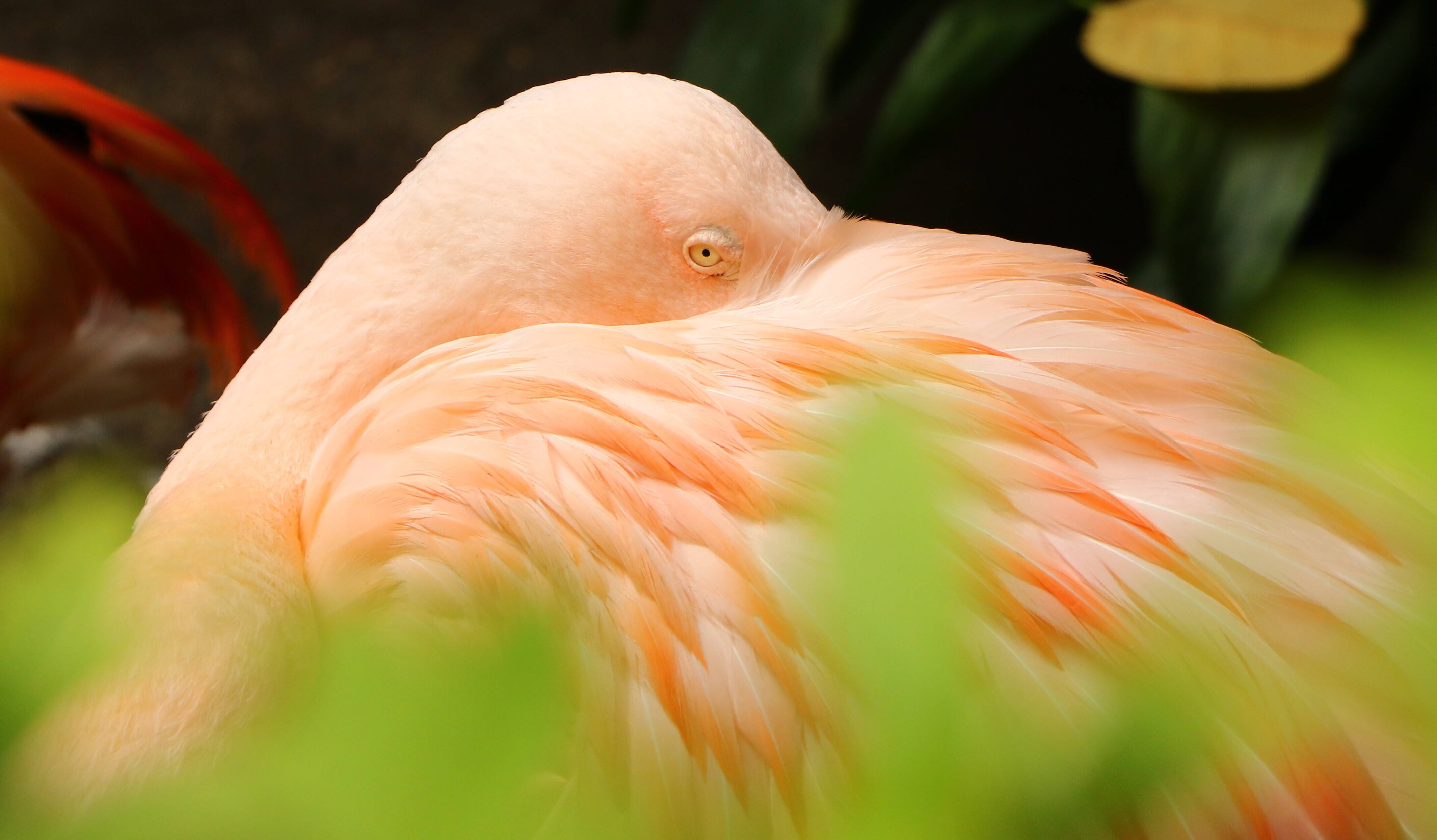 見ていますの写真