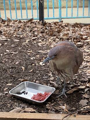 ミゾタロウ通信