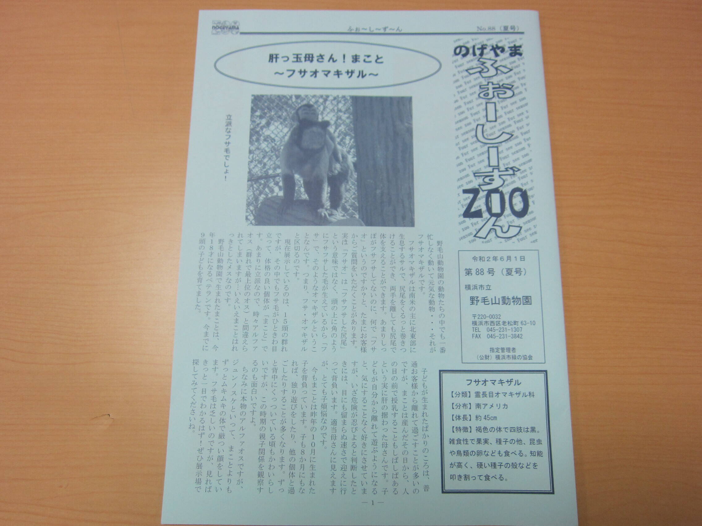 知らなきゃ損、損!の写真