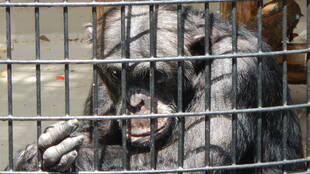 コブヘイ、イライラを新米にぶつけ始める。　その①