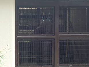 そっと覗いて見てごらん