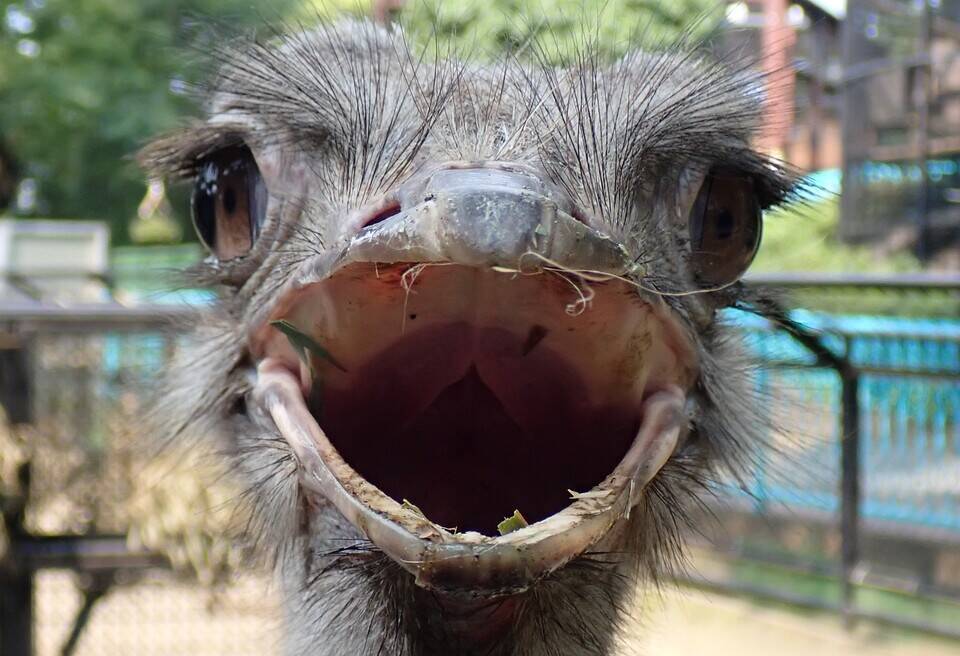 暑い日にはの写真