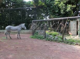 ココロ、再び大展示場に挑む