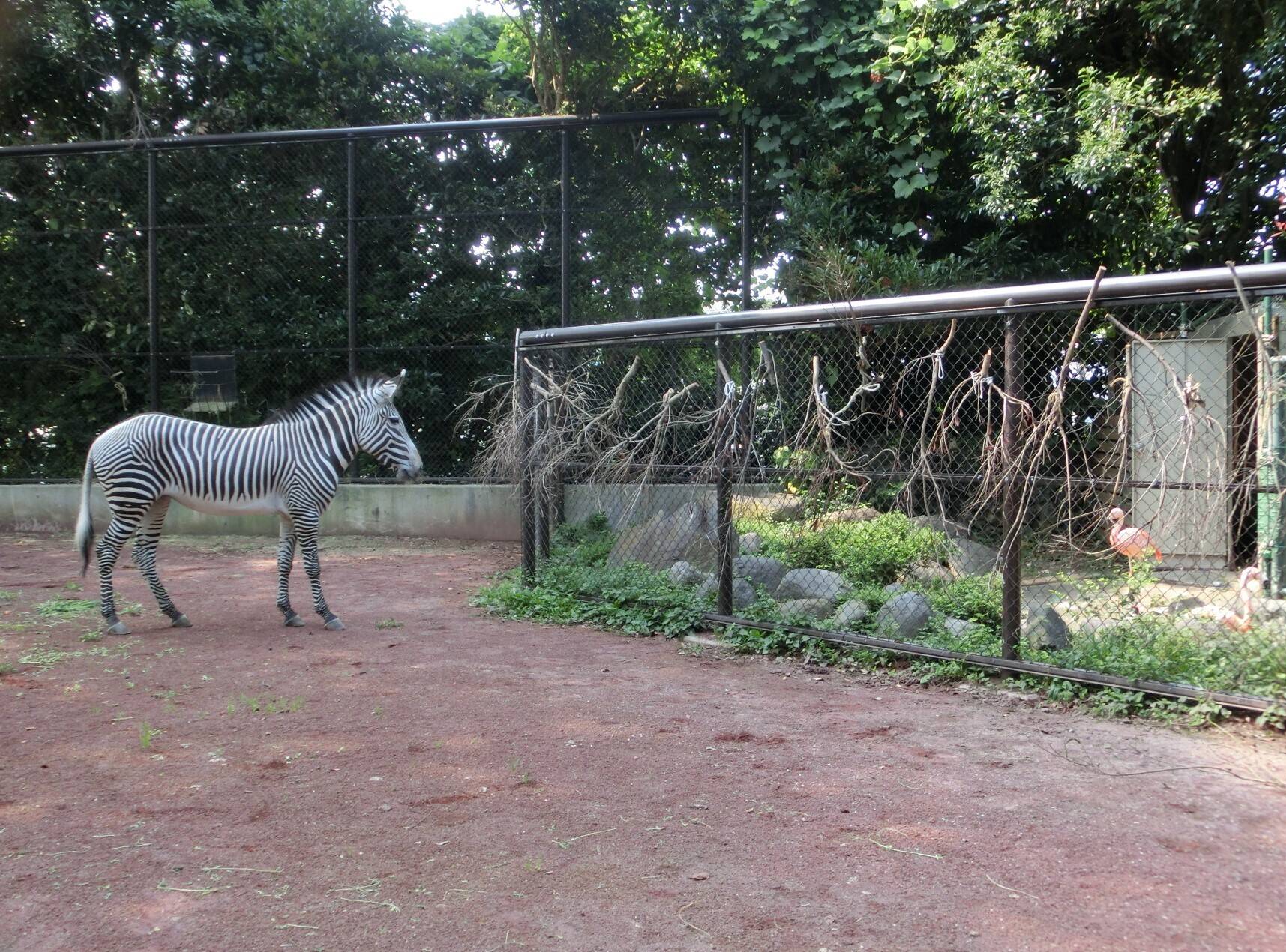 ココロ、再び大展示場に挑むの写真