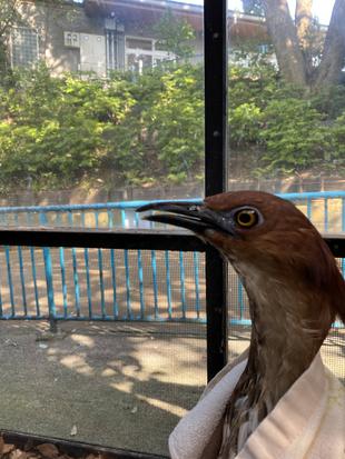 ミゾタロウ通信