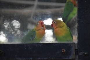 第1回！おもちゃ選手権