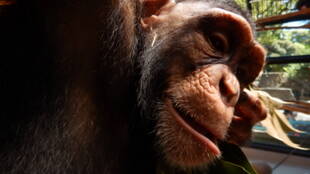 コウタロウ、4歳になる