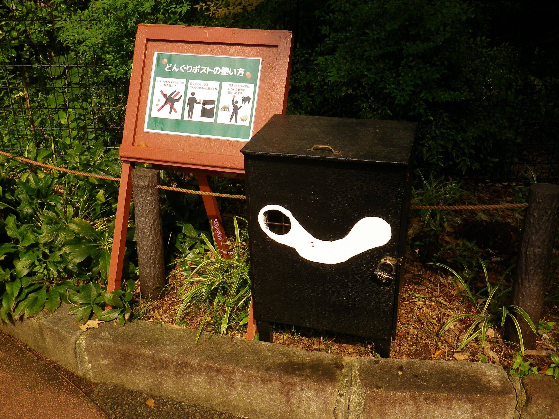 ドングリころころの写真