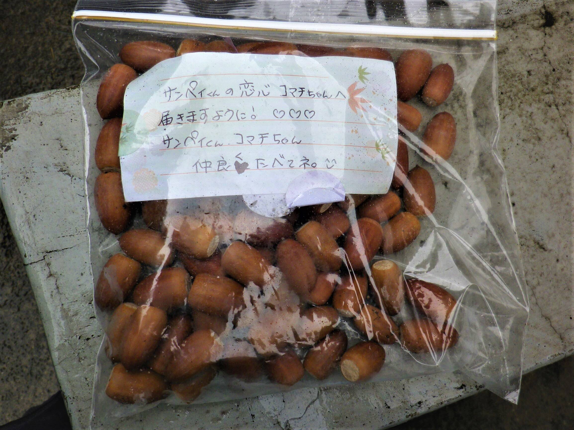 心温まるギフトに感謝の写真