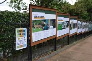 動物たちへの感謝の気持ち