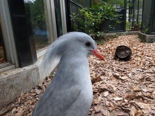 カグー展示場のちょこっとビフォーアフター