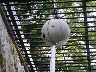 フレー、フレー、サンペイ！！