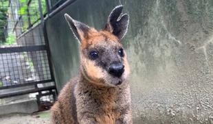 お疲れ様でした。