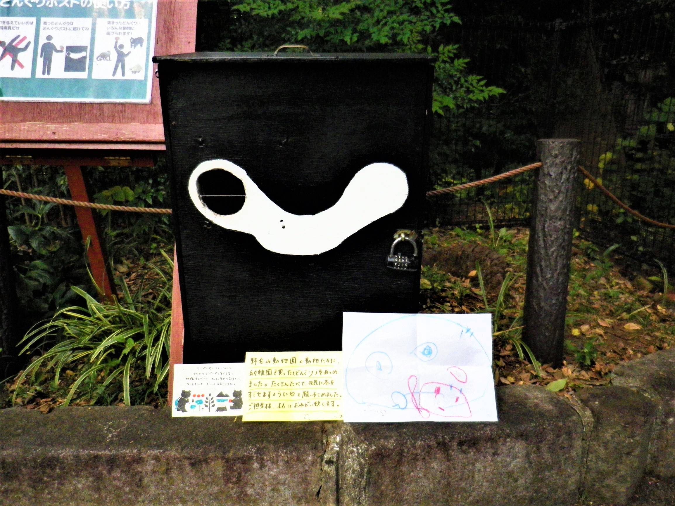 どんぐり、ありがとうございました。の写真