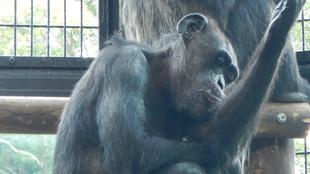 ピーコさんのちょっとした変化