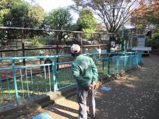 ラッキーがやってきた日(獣医Ver.)