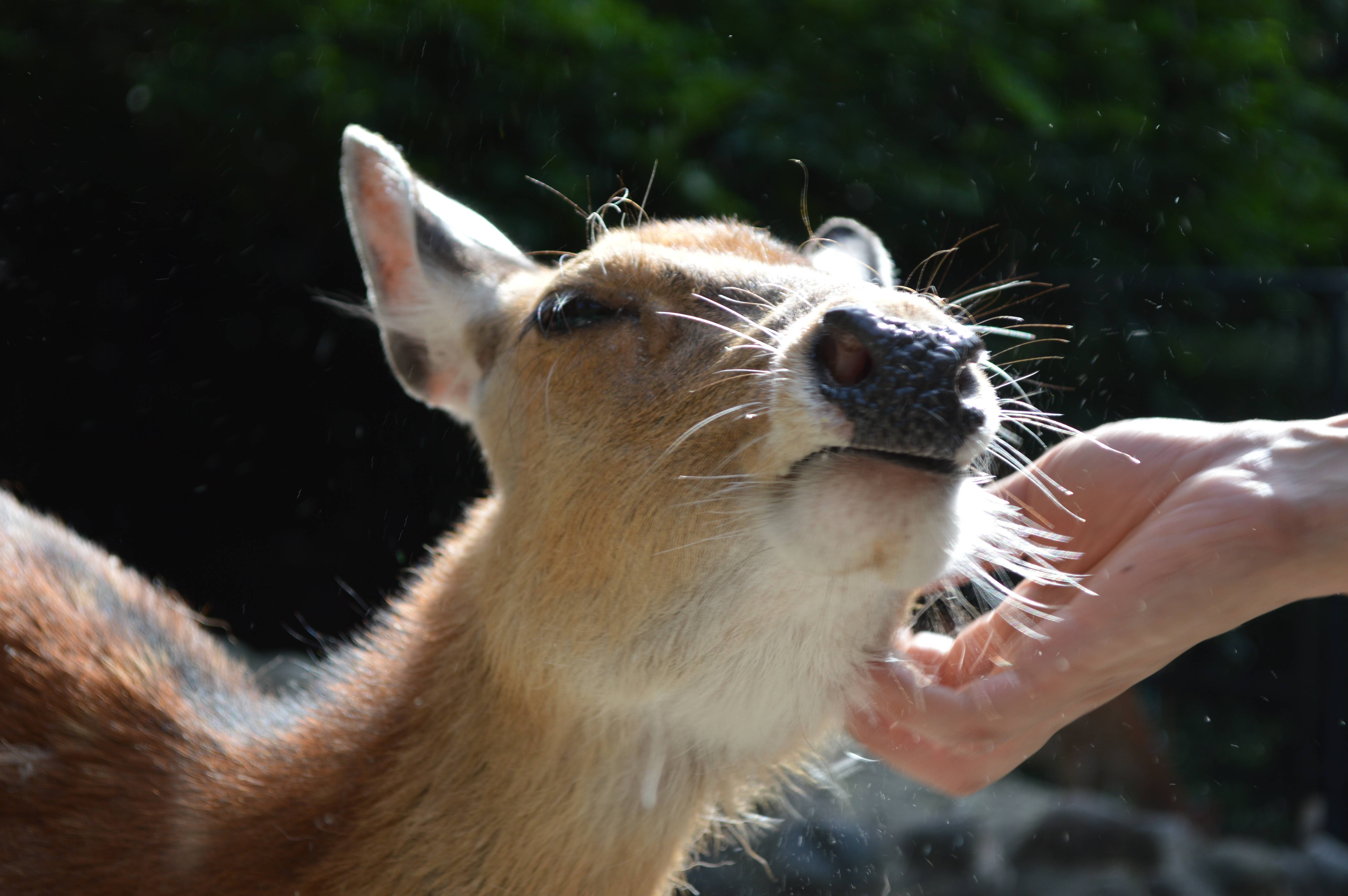 ミキ史の写真