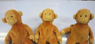 ブログ　DE　動物病院ガイドツアー　vol.11