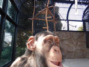 展示場タワーの改修工事が始まりました