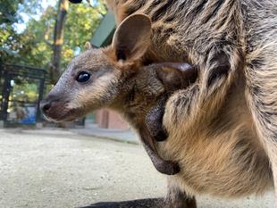 生まれました!?