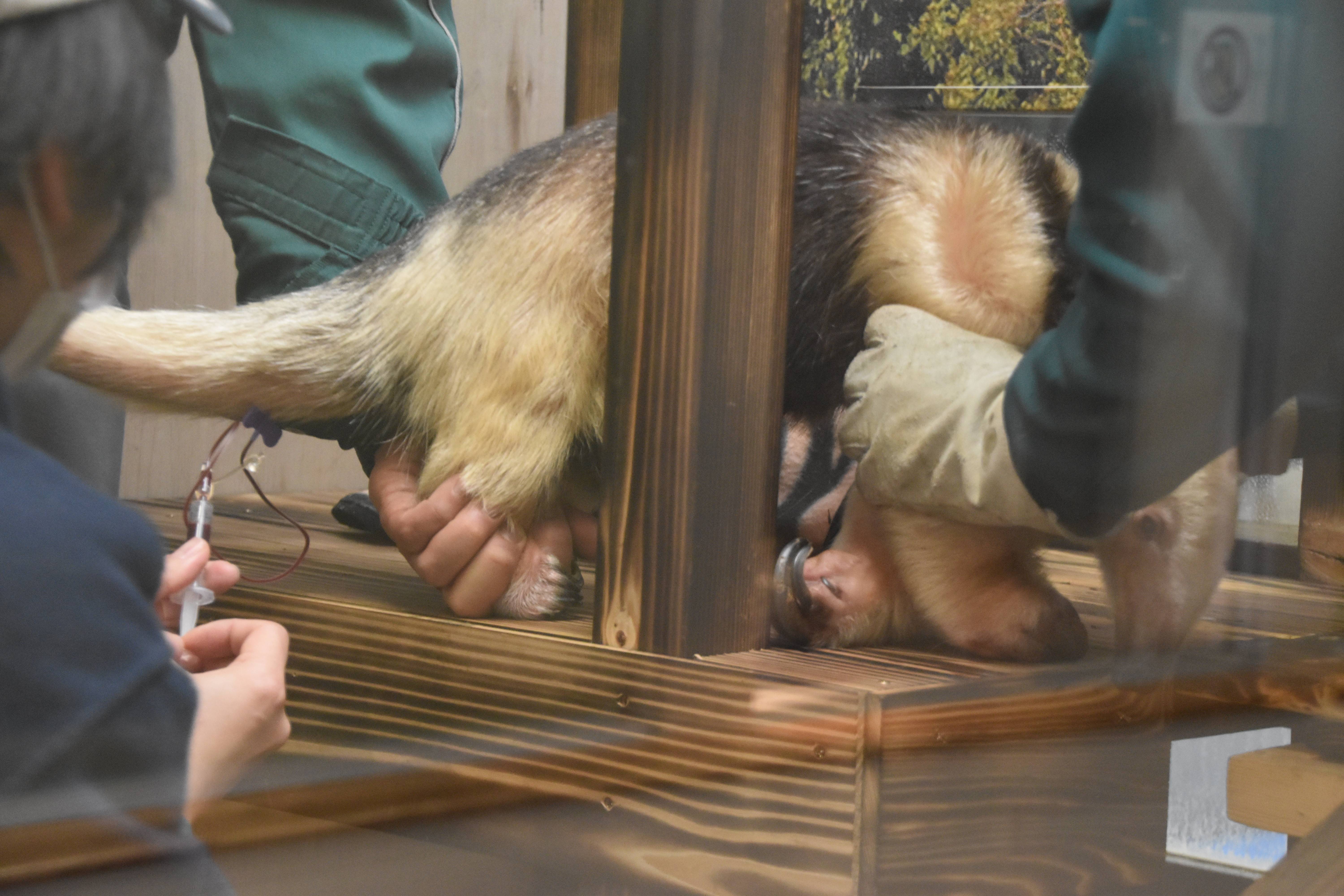 仮住まい先でもの写真