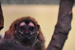 ブラッド写真撮影会