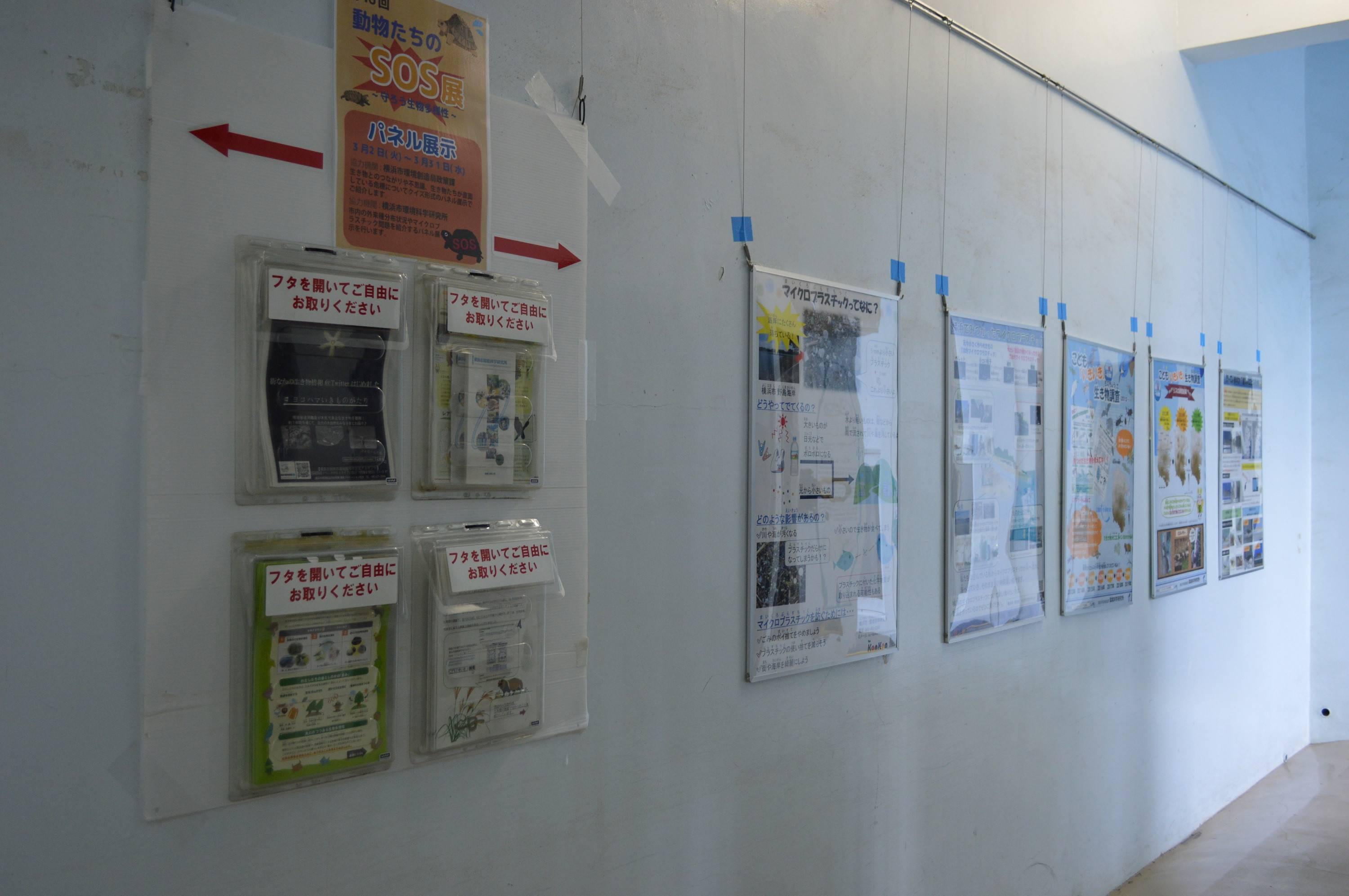 動物たちのSOS展開催中!の写真