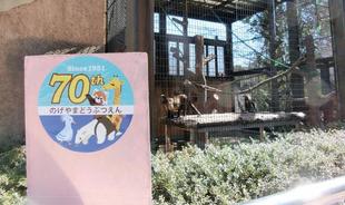 70周年を一緒にお祝いしてね♪
