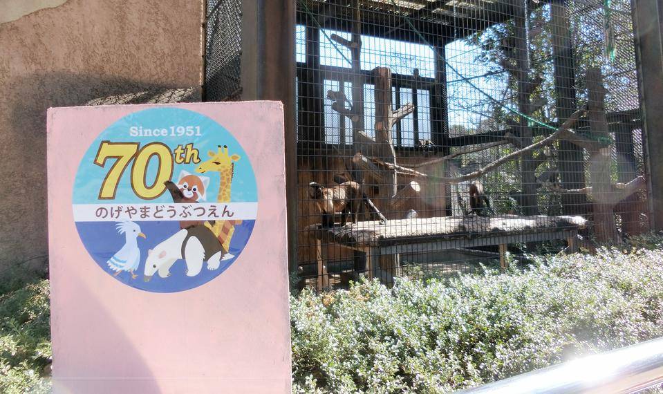 70周年を一緒にお祝いしてね♪の写真