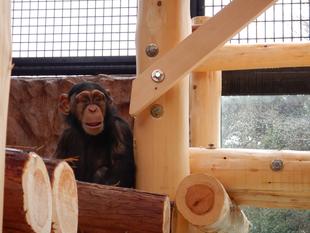 新しいタワーが完成しました!