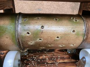 新しいおもちゃ