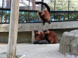 ただいまぁーーー！